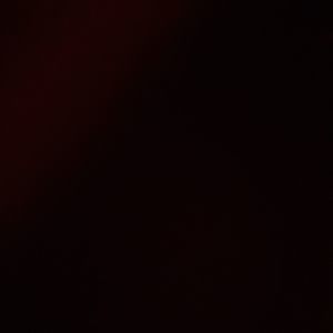 Meet your Posher, Annie